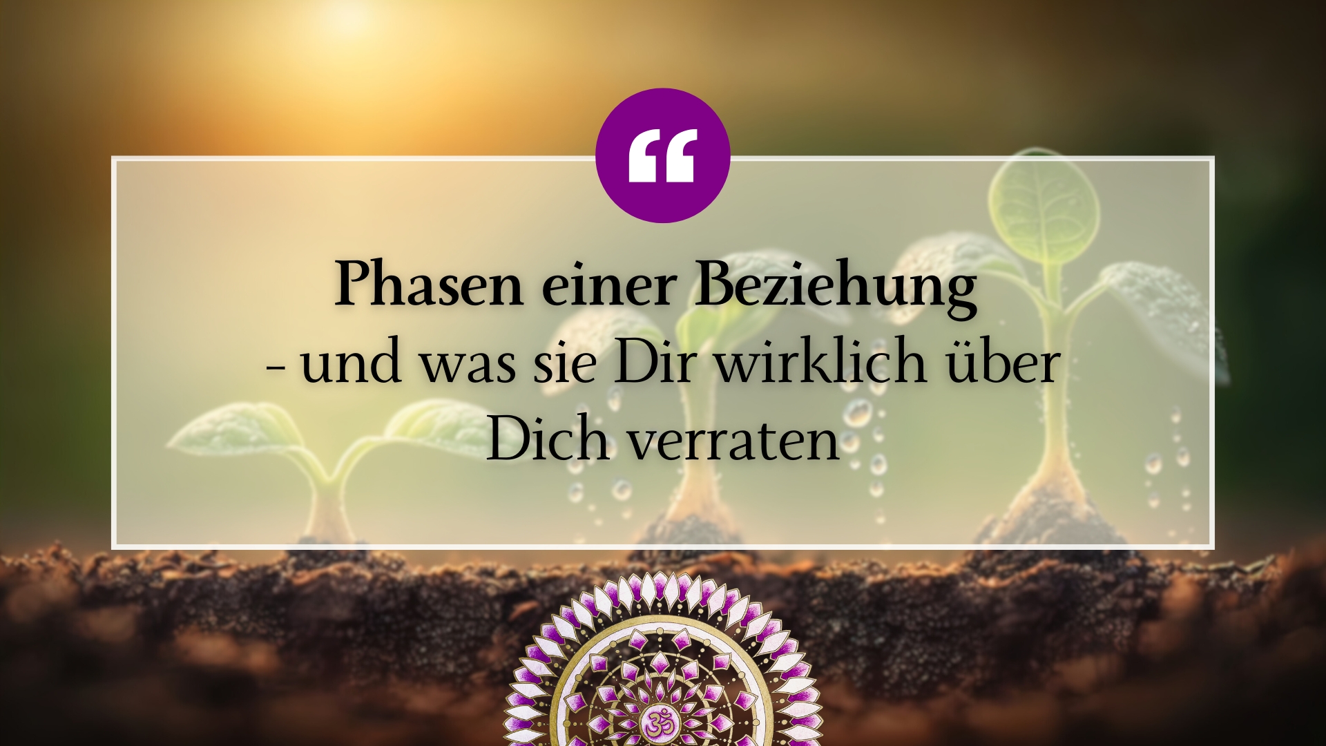 phasen-einer-beziehung